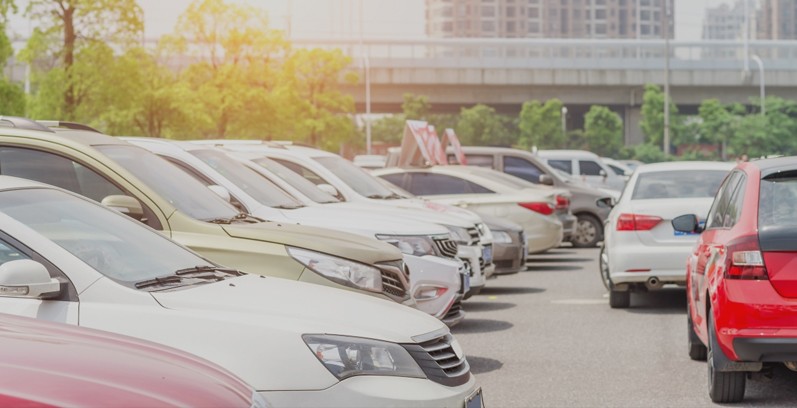 MARTIN BURKUŠ